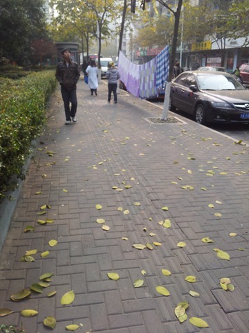 20111228_130220